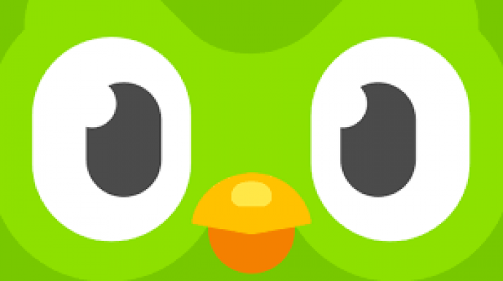 Duolingo promo codes